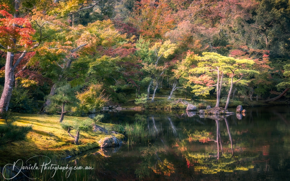 Autumn colors at the Japanese Zen Garden at Golden Pavilion, Kyoto